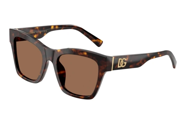 Sunglasses Dolce & Gabbana DG4512 502/73