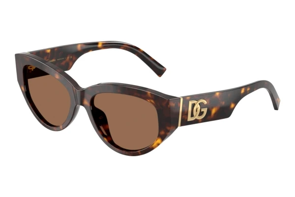 Sunglasses Dolce & Gabbana DG4514 502/73