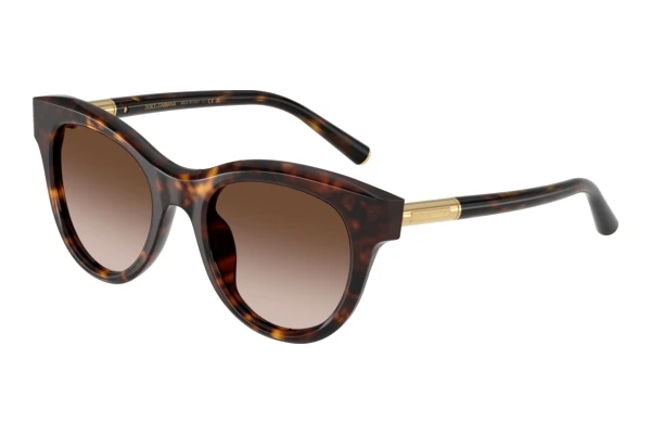 Sunglasses Dolce & Gabbana DG4518 502/13