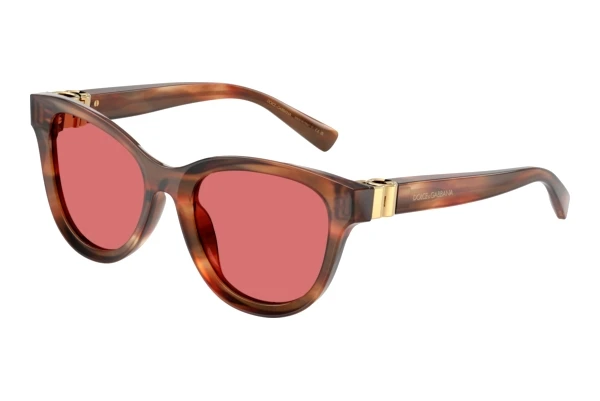 Sunglasses Dolce & Gabbana DG4533 322175
