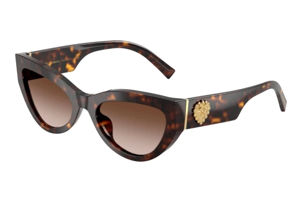 Sunglasses Dolce & Gabbana DG4536 502/13