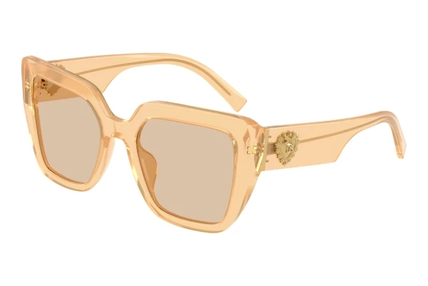 Sunglasses Dolce & Gabbana DG4538 308993
