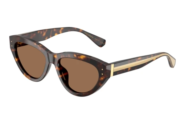 Sunglasses Dolce & Gabbana DG4558 502/73