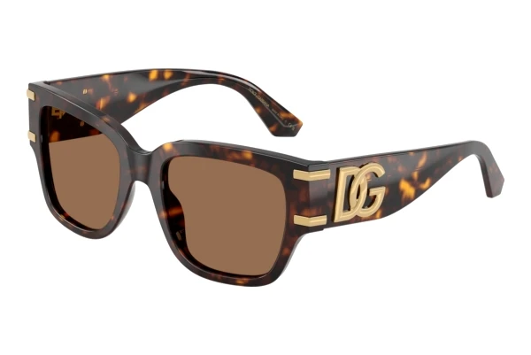 Sunglasses Dolce & Gabbana DG4563 502/73