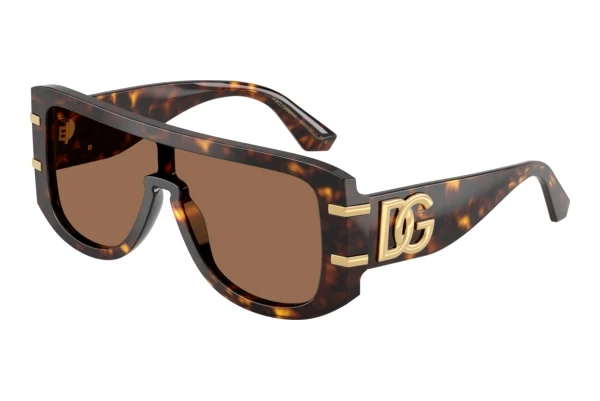 Sunglasses Dolce & Gabbana DG4565 502/73