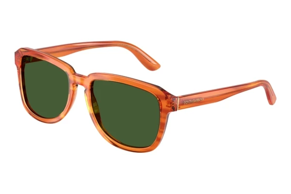 Sunglasses Dolce & Gabbana DG4566 34839A