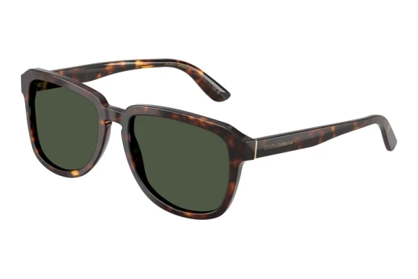 Sunglasses Dolce & Gabbana DG4566 502/9A