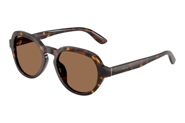 Sunglasses Dolce & Gabbana DG4567 502/73