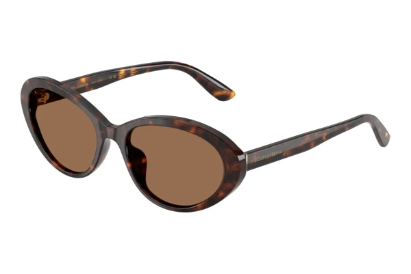 Sunglasses Dolce & Gabbana DG4570 502/73