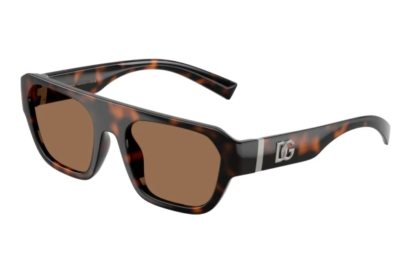 Sunglasses Dolce & Gabbana DG6206 502/73