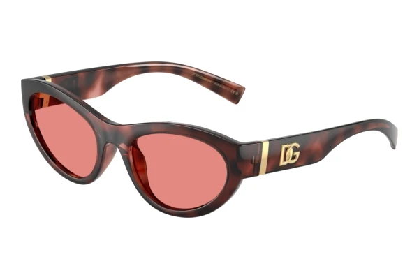 Sunglasses Dolce & Gabbana DG6207 347684