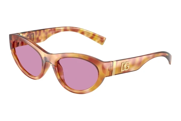Sunglasses Dolce & Gabbana DG6207 34771A