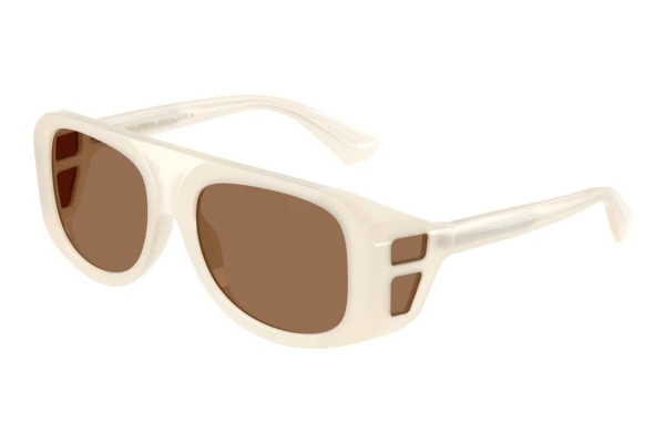Sunglasses Dolce & Gabbana DG6208 303973