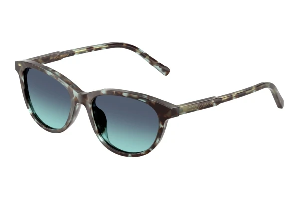 Sunglasses Dolce & Gabbana DX4010 34434S