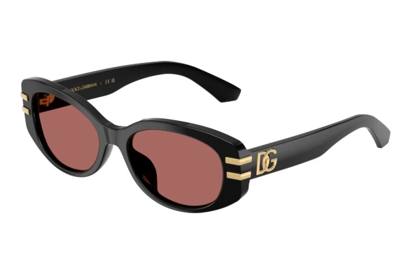Sunglasses Dolce & Gabbana DX4014 501/69