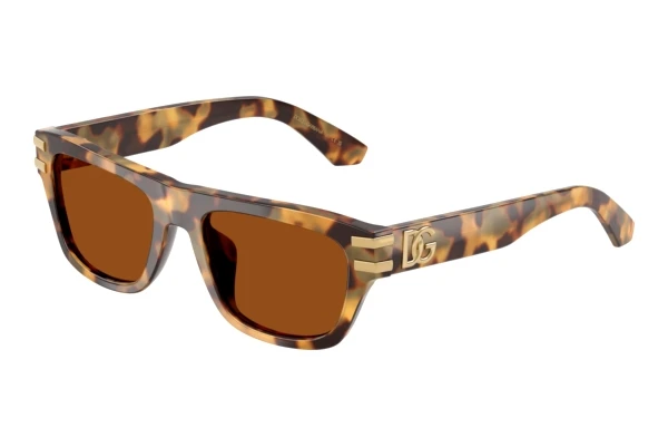 Sunglasses Dolce & Gabbana DX4015 343773
