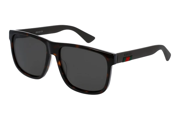 Sunglasses Gucci GG0010S 003