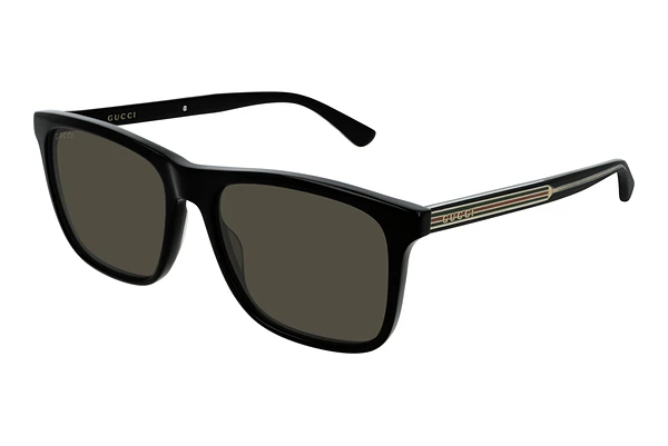 Sunglasses Gucci GG0381SN 007