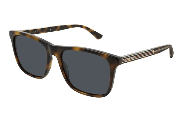 Sunglasses Gucci GG0381SN 009