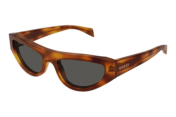 Sunglasses Gucci GG1919S 004