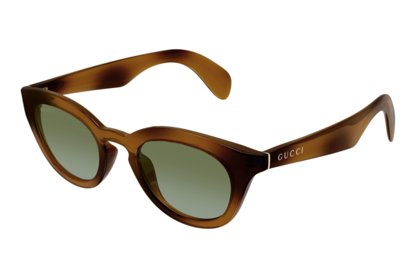 Sunglasses Gucci GG1934S 002