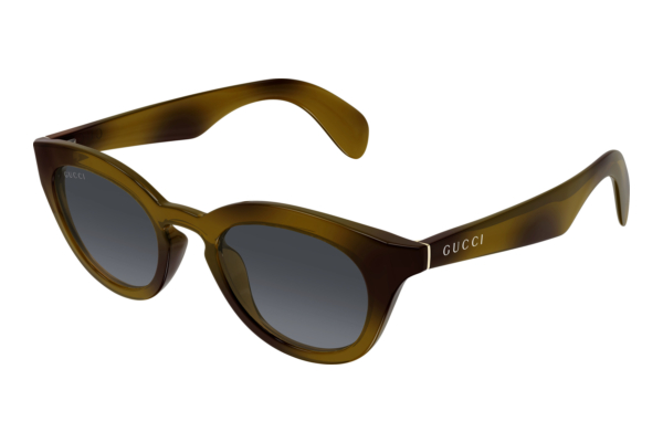 Sunglasses Gucci GG1934S 003