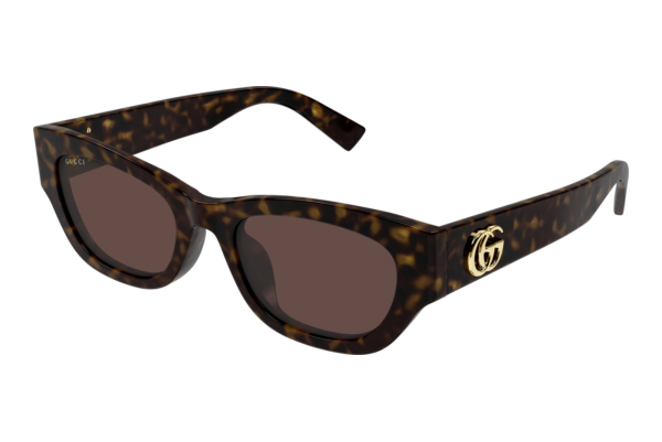 Sunglasses Gucci GG1954SA 002