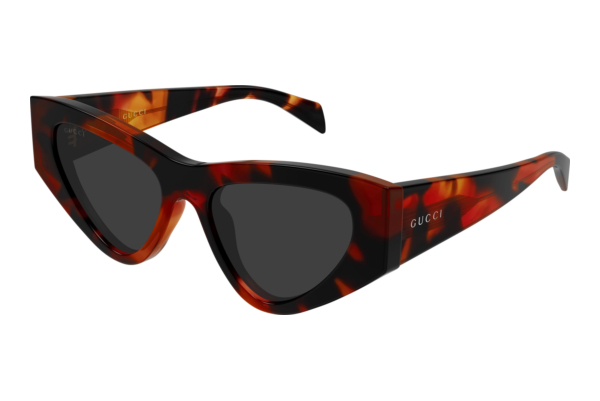 Sunglasses Gucci GG2019S 002