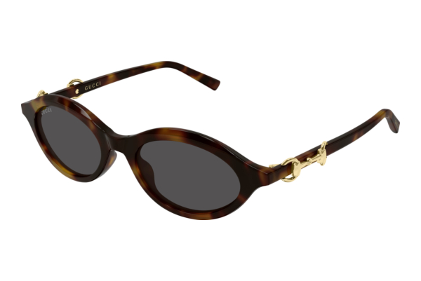 Sunglasses Gucci GG2215S 003