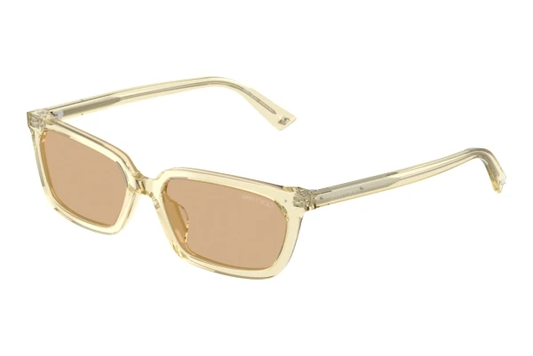 Sunglasses Jimmy Choo JC5050U 5083/8