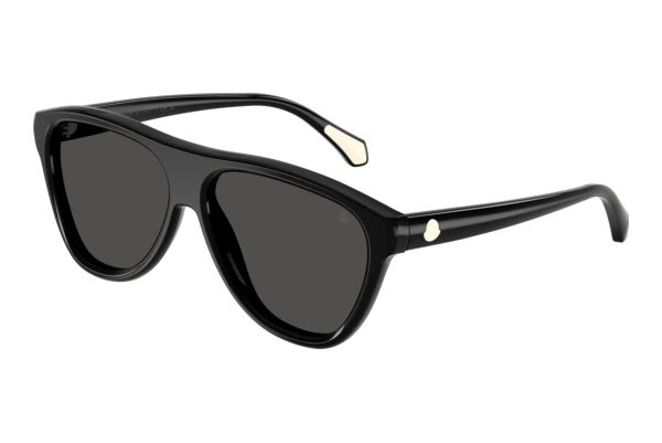 Sunglasses Moncler INCLINE (ME6025U 300187)