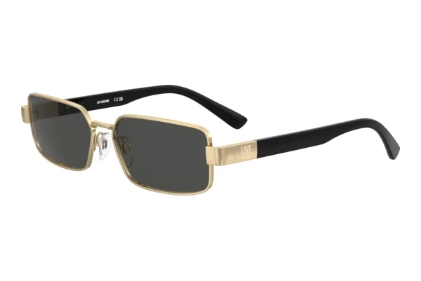 Sunglasses Moschino MOL100/S 000/IR