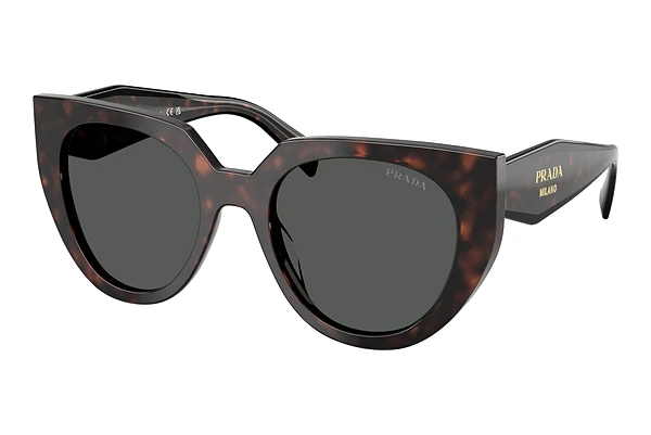 Sunglasses Prada PR 14WS 17N40L