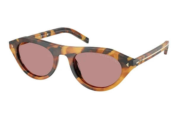 Sunglasses Prada PR B15S 29C05Z