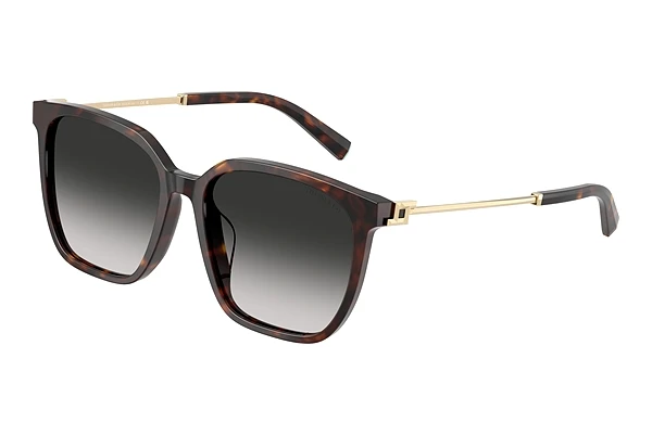 Sunglasses Tiffany TF4244D 80153C