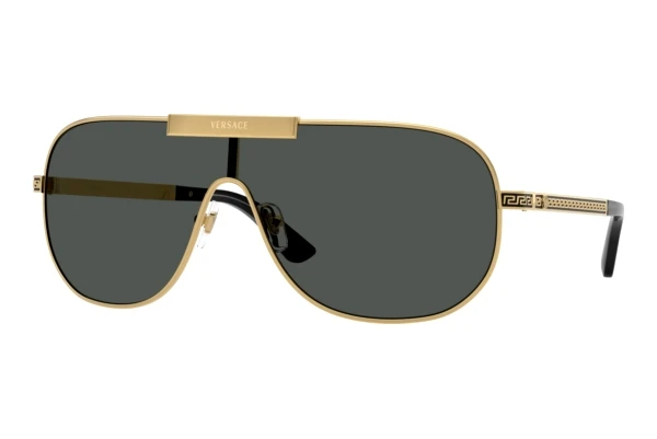 Sunglasses Versace VE2293 100287