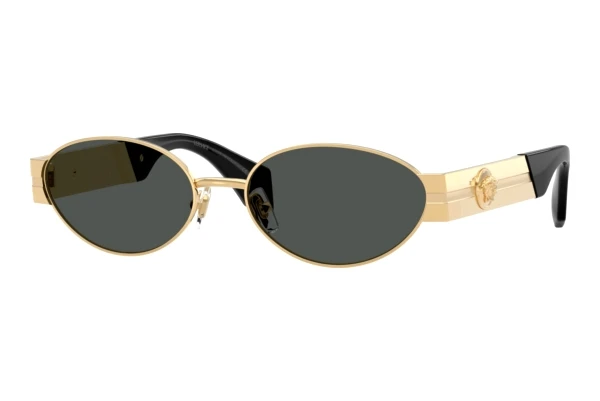Sunglasses Versace VE2301 152387