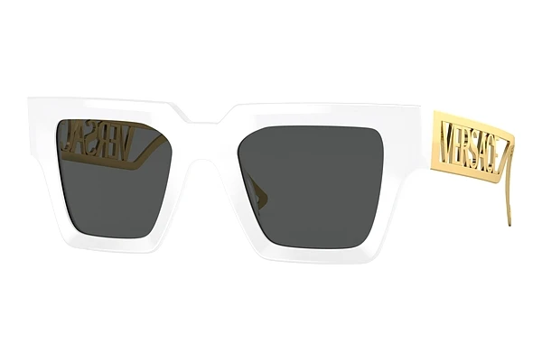 Sunglasses Versace VE4431 401/87