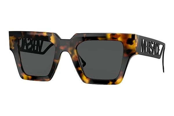 Sunglasses Versace VE4431 514887