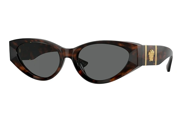 Sunglasses Versace VE4454 542987