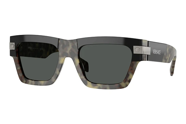 Sunglasses Versace VE4464 545687