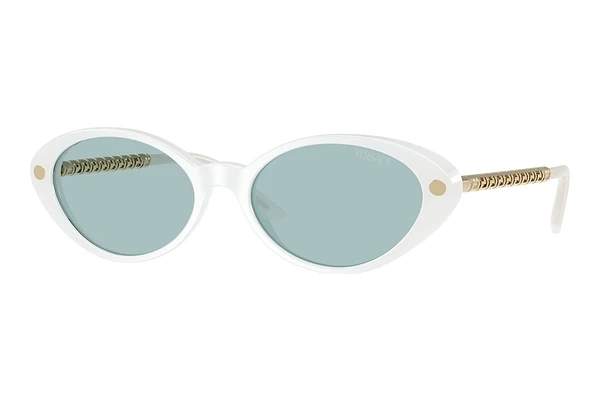 Sunglasses Versace VE4469 547172