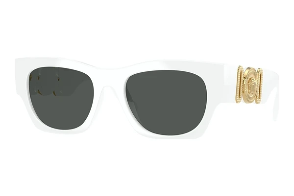 Sunglasses Versace VE4479U 314/87