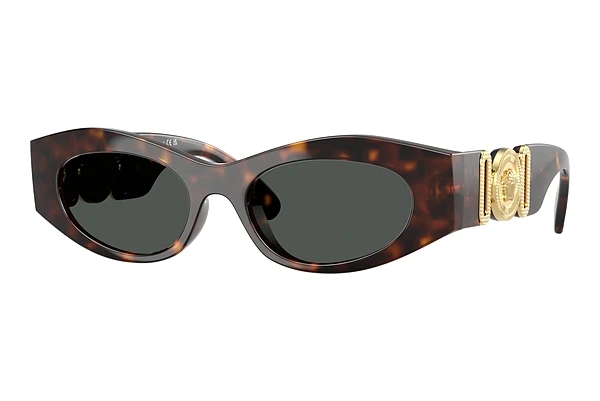 Sunglasses Versace VE4480U 108/87