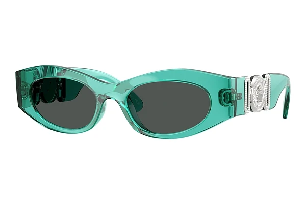 Sunglasses Versace VE4480U 552987