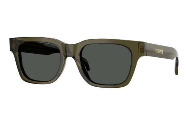 Sunglasses Versace VE4486 554287