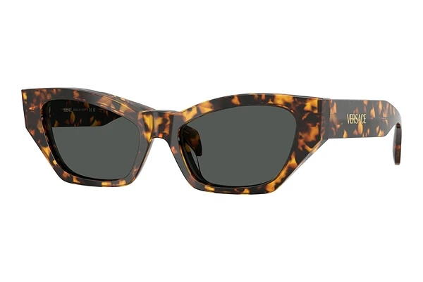 Sunglasses Versace VE4488U 551487