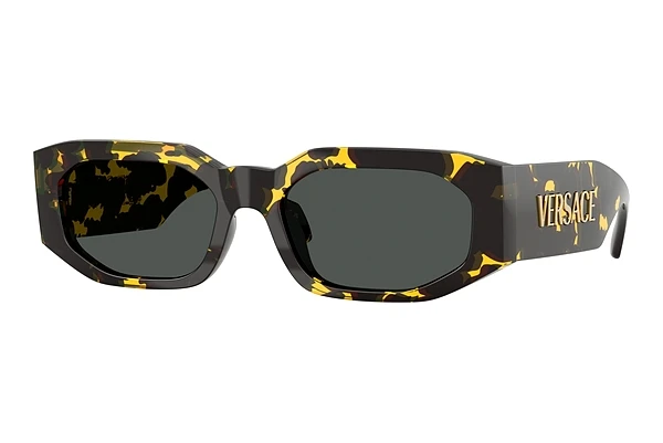 Sunglasses Versace VE4489U 552887