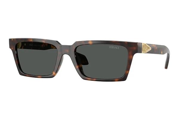 Sunglasses Versace VE4490U 108/87
