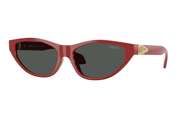 Sunglasses Versace VE4491U 538887